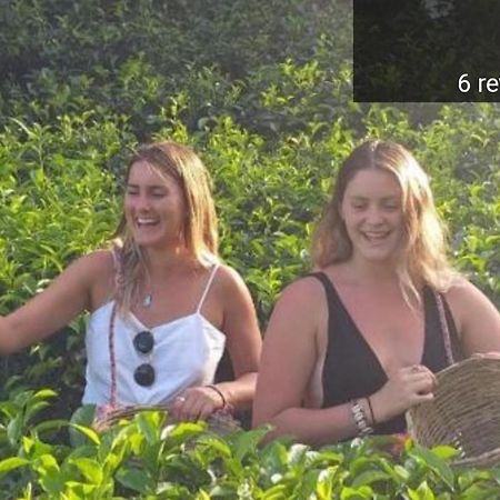 Tea Villas 埃拉 外观 照片