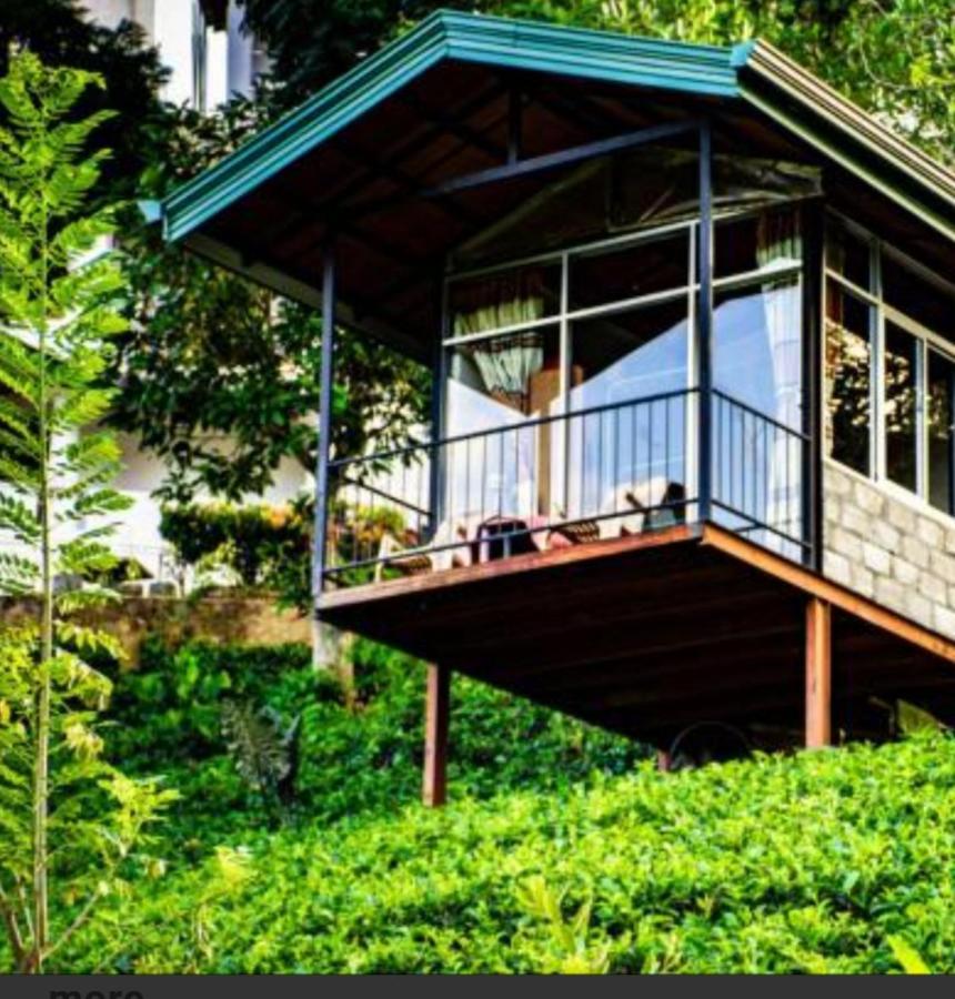 Tea Villas 埃拉 外观 照片