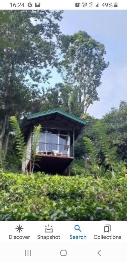 Tea Villas 埃拉 外观 照片
