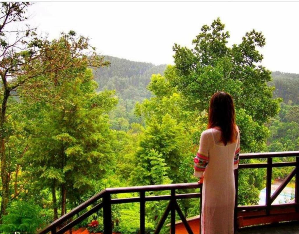Tea Villas 埃拉 外观 照片