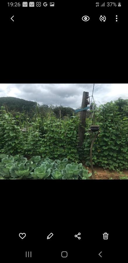 Tea Villas 埃拉 外观 照片