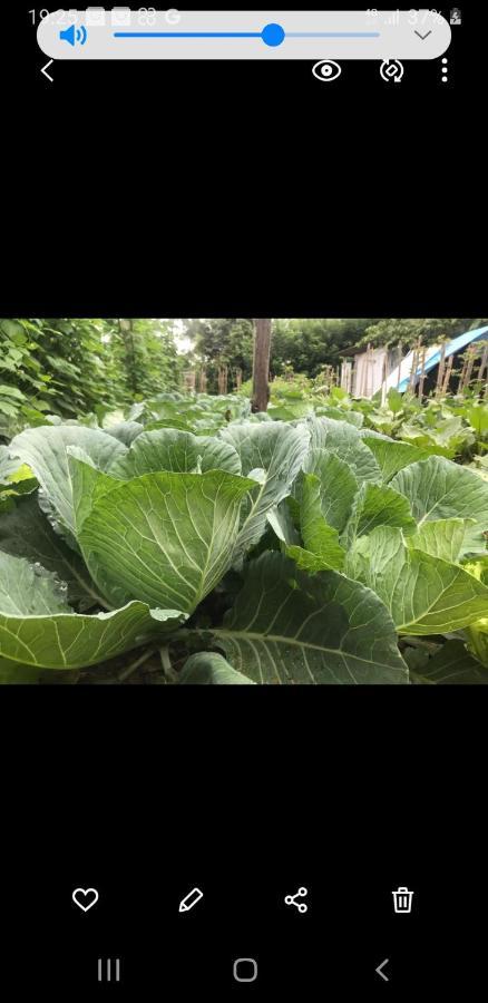 Tea Villas 埃拉 外观 照片